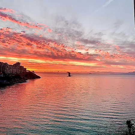 Viverefelix - Mare Liberum *